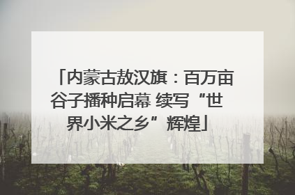 内蒙古敖汉旗：百万亩谷子播种启幕 续写“世界小米之乡”辉煌