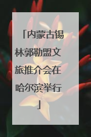 内蒙古锡林郭勒盟文旅推介会在哈尔滨举行