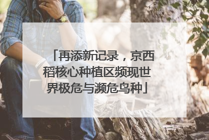 再添新记录，京西稻核心种植区频现世界极危与濒危鸟种