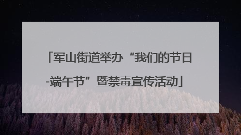 军山街道举办“我们的节日-端午节”暨禁毒宣传活动