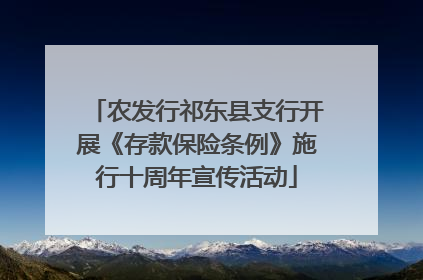 农发行祁东县支行开展《存款保险条例》施行十周年宣传活动