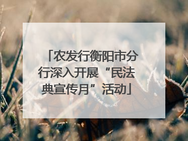农发行衡阳市分行深入开展“民法典宣传月”活动