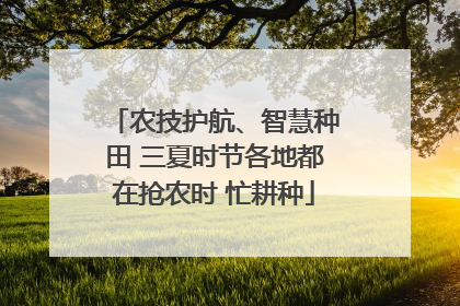 农技护航、智慧种田 三夏时节各地都在抢农时 忙耕种