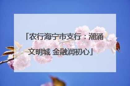 农行海宁市支行：潮涌文明城 金融润初心