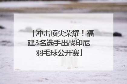 冲击顶尖荣耀！福建3名选手出战印尼羽毛球公开赛