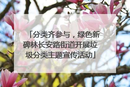 分类齐参与，绿色新碑林长安路街道开展垃圾分类主题宣传活动