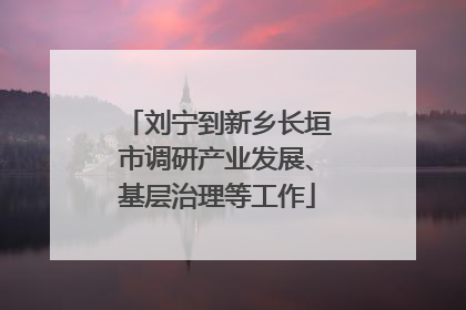 刘宁到新乡长垣市调研产业发展、基层治理等工作