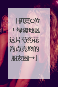 初夏C位！绿隔地区这片芍药花海点亮您的朋友圈→