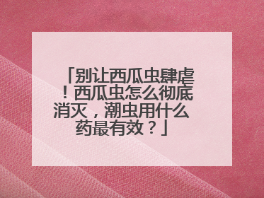 别让西瓜虫肆虐！西瓜虫怎么彻底消灭，潮虫用什么药最有效？