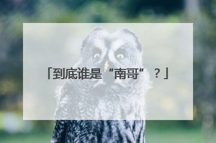 到底谁是“南哥”？