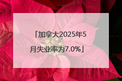 加拿大2025年5月失业率为7.0%
