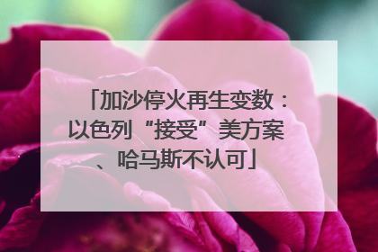 加沙停火再生变数：以色列“接受”美方案、哈马斯不认可