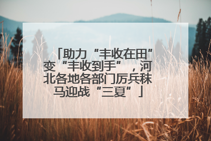 助力“丰收在田”变“丰收到手”，河北各地各部门厉兵秣马迎战“三夏”