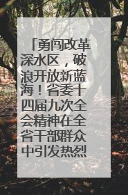 勇闯改革深水区，破浪开放新蓝海！省委十四届九次全会精神在全省干部群众中引发热烈反响