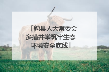 勉县人大常委会多措并举筑牢生态环境安全底线