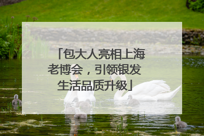 包大人亮相上海老博会，引领银发生活品质升级