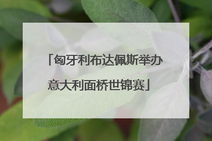 匈牙利布达佩斯举办意大利面桥世锦赛