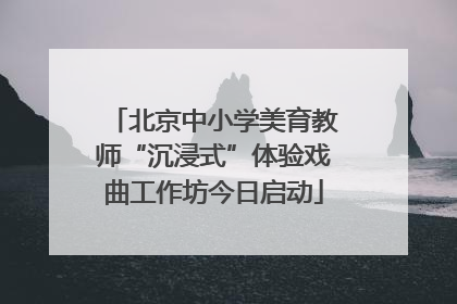 北京中小学美育教师“沉浸式”体验戏曲工作坊今日启动
