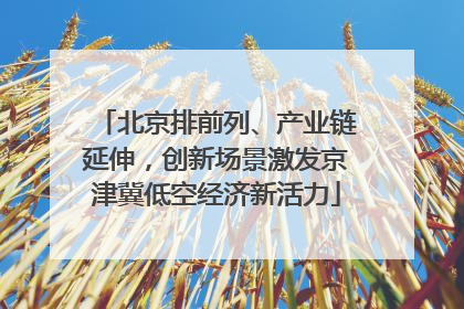 北京排前列、产业链延伸，创新场景激发京津冀低空经济新活力
