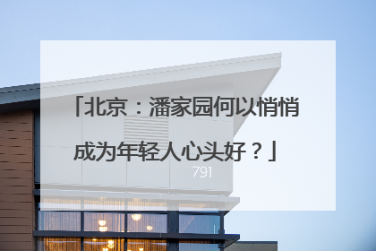 北京：潘家园何以悄悄成为年轻人心头好？