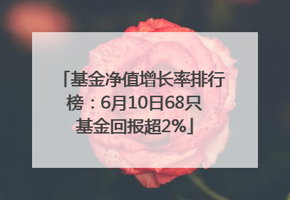 基金净值增长率排行榜：6月10日68只基金回报超2%