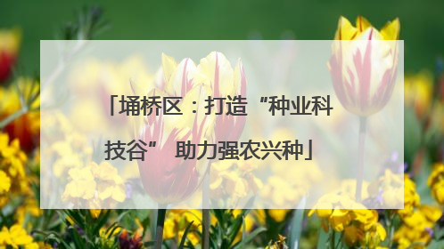 埇桥区：打造“种业科技谷” 助力强农兴种