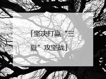 坚决打赢“三夏”攻坚战