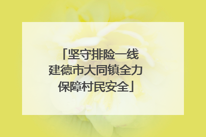 坚守排险一线 建德市大同镇全力保障村民安全