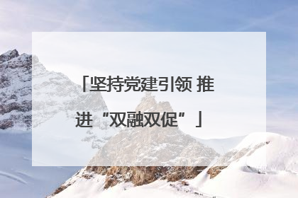 坚持党建引领 推进“双融双促”