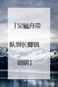 吴毓舟带队到长卿镇调研
