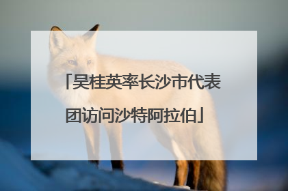 吴桂英率长沙市代表团访问沙特阿拉伯