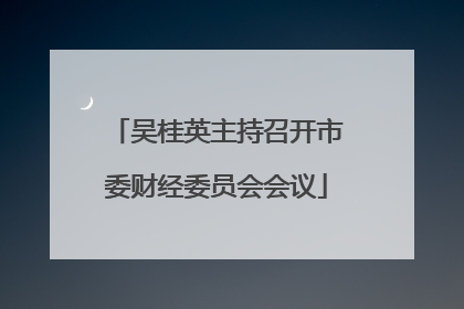 吴桂英主持召开市委财经委员会会议