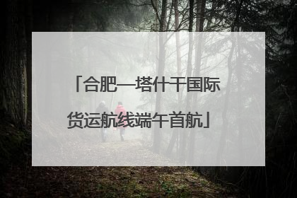 合肥—塔什干国际货运航线端午首航