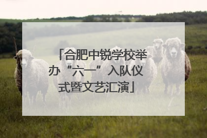 合肥中锐学校举办“六一”入队仪式暨文艺汇演