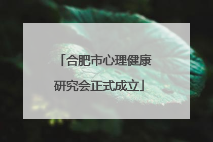 合肥市心理健康研究会正式成立