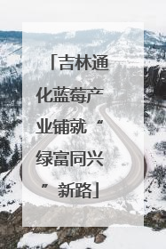 吉林通化蓝莓产业铺就“绿富同兴”新路