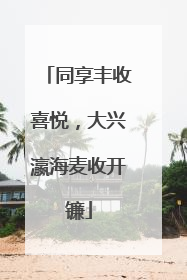 同享丰收喜悦，大兴瀛海麦收开镰