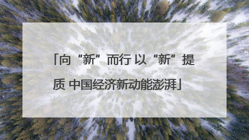 向“新”而行 以“新”提质 中国经济新动能澎湃