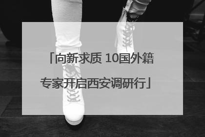 向新求质 10国外籍专家开启西安调研行