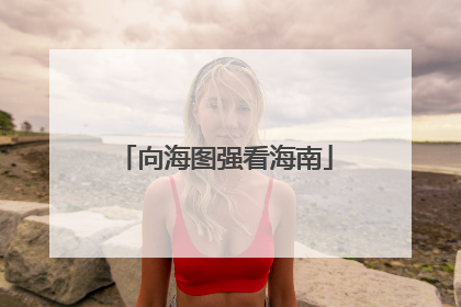 向海图强看海南