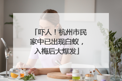 吓人！杭州市民家中已出现白蚁，入梅后大爆发