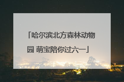 哈尔滨北方森林动物园 萌宝陪你过六一