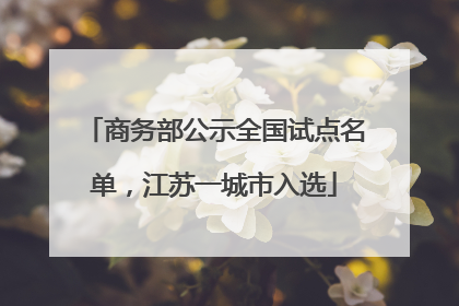 商务部公示全国试点名单，江苏一城市入选