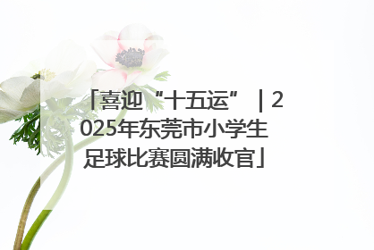 喜迎“十五运”｜2025年东莞市小学生足球比赛圆满收官