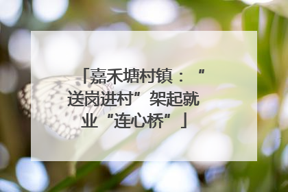 嘉禾塘村镇：“送岗进村”架起就业“连心桥”
