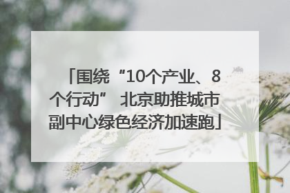 围绕“10个产业、8个行动” 北京助推城市副中心绿色经济加速跑