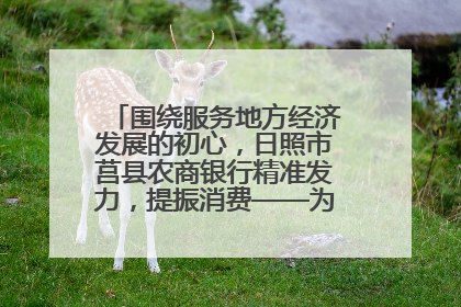 围绕服务地方经济发展的初心，日照市莒县农商银行精准发力，提振消费——为文旅注入金融动能
