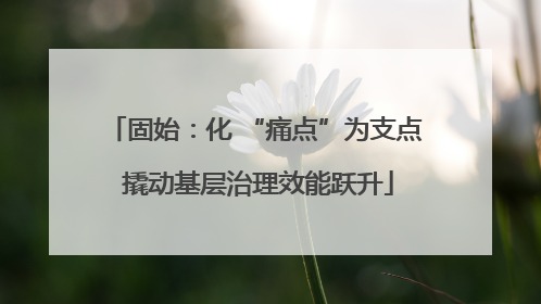 固始：化 “痛点”为支点 撬动基层治理效能跃升