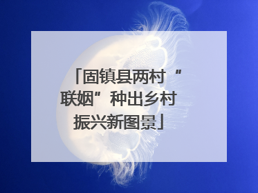固镇县两村“联姻”种出乡村振兴新图景
