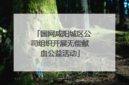 国网咸阳城区公司组织开展无偿献血公益活动